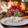 Freshcut Paper Pop Up Cards, Mini Christmas Puppy & Kitten, 6 Inch Mini Sized 3D Pet Gifts, Popup Greeting Card, Christmas Card, Paper Cat & Dog Cards, Blank Notecard & Envelope(Mini Birch Poinsettia)