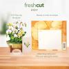 Freshcut Paper Pop Up Cards, Mini English Daffodils, 6 Inch Mini Sized Forever Flower Bouquet 3D Popup Greeting Cards, Birthday Cards, Get Well Gifts, Blank Notecard & Envelope(Serenity Orchid)