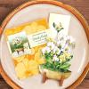 Freshcut Paper Pop Up Cards, Mini English Daffodils, 6 Inch Mini Sized Forever Flower Bouquet 3D Popup Greeting Cards, Birthday Cards, Get Well Gifts, Blank Notecard & Envelope(Serenity Orchid)