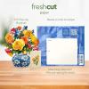 Freshcut Paper Pop Up Cards, Mini English Daffodils, 6 Inch Mini Sized Forever Flower Bouquet 3D Popup Greeting Cards, Birthday Cards, Get Well Gifts, Blank Notecard & Envelope(Sorbet Roses)