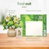 Freshcut Paper Pop Up Cards, Mini English Daffodils, 6 Inch Mini Sized Forever Flower Bouquet 3D Popup Greeting Cards, Birthday Cards, Get Well Gifts, Blank Notecard & Envelope(Ivory & Sage)