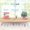 Freshcut Paper Pop Up Cards, Mini Hummingbird Oasis, 6 Inch Mini Sized Forever Flower Bouquet 3D Popup Greeting Card, Birthday Cards, Thank You Card, Blank Notecard & Envelope