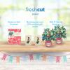 Freshcut Paper Pop Up Cards, Mini Hummingbird Oasis (Set of 2), 6 Inch Mini Sized Forever Flower Bouquet 3D Popup Greeting Card, Birthday Cards, Anniversary Card, Blank Notecard & Envelope