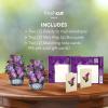 Freshcut Paper Pop Up Cards, Mini Lavender & Butterflies, 6 Inch Mini Sized Forever Flower Bouquet 3D Popup Greeting Card, Birthday Cards, Thank You Card, Teacher Gifts, Blank Notecard & Envelope(Mini Garden Lilacs Set of 2)