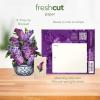 Freshcut Paper Pop Up Cards, Mini Lavender & Butterflies, 6 Inch Mini Sized Forever Flower Bouquet 3D Popup Greeting Card, Birthday Cards, Thank You Card, Teacher Gifts, Blank Notecard & Envelope(Garden Lilacs)