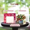 Freshcut Paper Pop Up Cards, Mini Nantucket Hydrangeas, 6 Inch Mini Sized Forever Flower Bouquet 3D Popup Greeting Cards, Birthday Cards, Thank You Card, Blank Notecard & Envelope(Strawberry Blossom)
