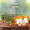 Freshcut Paper Pop Up Cards, Mini Nantucket Hydrangeas, 6 Inch Mini Sized Forever Flower Bouquet 3D Popup Greeting Cards, Birthday Cards, Thank You Card, Blank Notecard & Envelope(Mini Butterflies & Buttercups Set of 2)