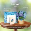 Freshcut Paper Pop Up Cards, Mini Nantucket Hydrangeas, 6 Inch Mini Sized Forever Flower Bouquet 3D Popup Greeting Cards, Birthday Cards, Thank You Card, Blank Notecard & Envelope(Nantucket Hydrangeas)