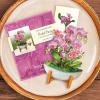 Freshcut Paper Pop Up Cards, Mini Orchid Oasis, 6 Inch Mini Sized Forever Flower Bouquet 3D Popup Greeting Cards, Birthday Card, Get Well Gifts, Blank Notecard & Envelope(Orchid Oasis)