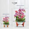Freshcut Paper Pop Up Cards, Mini Orchid Oasis, 6 Inch Mini Sized Forever Flower Bouquet 3D Popup Greeting Cards, Birthday Card, Get Well Gifts, Blank Notecard & Envelope(Orchid Oasis)