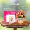 Freshcut Paper Pop Up Cards, Mini Orchid Oasis, 6 Inch Mini Sized Forever Flower Bouquet 3D Popup Greeting Cards, Birthday Card, Get Well Gifts, Blank Notecard & Envelope(Festive Tulips with Basket)