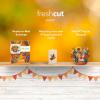 Freshcut Paper Pop Up Cards, Mini Sunflowers, 6 Inch Mini Sized Forever Flower Bouquet 3D Popup Greeting Cards, Birthday Cards, Get Well Gifts, Blank Notecard & Envelope(Mini Golden Harvest)