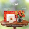 Freshcut Paper Pop Up Cards, Mini Sunflowers, 6 Inch Mini Sized Forever Flower Bouquet 3D Popup Greeting Cards, Birthday Cards, Get Well Gifts, Blank Notecard & Envelope(French Blooms)