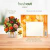 Freshcut Paper Pop Up Cards, Mini Sunflowers, 6 Inch Mini Sized Forever Flower Bouquet 3D Popup Greeting Cards, Birthday Cards, Get Well Gifts, Blank Notecard & Envelope(Pumpkin Spice)