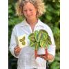 Freshcut Paper Pop Up Cards, Prayer Plant, 12 Inch Life Sized Paper House Plants 3D Popup Greeting Cards, Birthday Card, Get Well Gifts, Blank Notecard & Envelope(Prayer Plant)