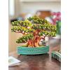 Freshcut Paper Pop Up Cards, Prayer Plant, 12 Inch Life Sized Paper House Plants 3D Popup Greeting Cards, Birthday Card, Get Well Gifts, Blank Notecard & Envelope(Bonsai)