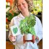 Freshcut Paper Pop Up Cards, Prayer Plant, 12 Inch Life Sized Paper House Plants 3D Popup Greeting Cards, Birthday Card, Get Well Gifts, Blank Notecard & Envelope(Monstera)