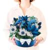 Freshcut Paper Pop Up Cards, Blue Poinsettia, 10 Inch Life Sized Forever Flower Bouquet 3D Popup Greeting Cards, Christmas Card, Hanukkah Card, Blank Notecard & Envelope(Blue Pointsettia)