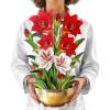 Freshcut Paper Pop Up Cards, Blue Poinsettia, 10 Inch Life Sized Forever Flower Bouquet 3D Popup Greeting Cards, Christmas Card, Hanukkah Card, Blank Notecard & Envelope(Scarlet Amaryllis)
