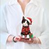 Freshcut Paper Pop Up Cards, Mini Christmas Puppy & Kitten, 6 Inch Mini Sized 3D Pet Gifts, Popup Greeting Card, Christmas Card, Paper Cat & Dog Cards, Blank Notecard & Envelope(Mini Christmas Kitten)
