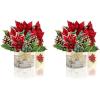 Freshcut Paper Pop Up Cards, Mini Christmas Puppy & Kitten, 6 Inch Mini Sized 3D Pet Gifts, Popup Greeting Card, Christmas Card, Paper Cat & Dog Cards, Blank Notecard & Envelope(Mini Birch Poinsettia Set of 2)