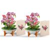 Freshcut Paper Pop Up Cards, Mini Orchid Oasis (Set of 2), 6 Inch Mini Sized Forever Flower Bouquet 3D Popup Greeting Cards, Birthday Card, Get Well Gifts, Blank Notecard & Envelope