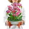 Freshcut Paper Pop Up Cards, Orchid Oasis, 12 Inch Life Sized Forever Flower Bouquet 3D Popup Greeting Card, Birthday Cards, Get Well Gifts, Blank Notecard & Envelope(Orchid Oasis)