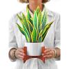 Freshcut Paper Pop Up Cards, Prayer Plant, 12 Inch Life Sized Paper House Plants 3D Popup Greeting Cards, Birthday Card, Get Well Gifts, Blank Notecard & Envelope(Snake Plant)