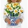 Freshcut Paper Pop Up Cards, Serenity Orchid, 12 Inch Life Sized Forever Flower Bouquet 3D Popup Greeting Card, Birthday Cards, Get Well Gifts, Blank Notecard & Envelope(Daffodils)