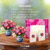 Freshcut Paper Pop Up Cards, Mini Peony Paradise (Set of 2), 6 Inch Mini Sized Forever Flower Bouquet 3D Popup Greeting Cards, Birthday Cards, Thank You Card, Teacher Gifts, Blank Notecard & Envelope(Peony Paradise 2pk)
