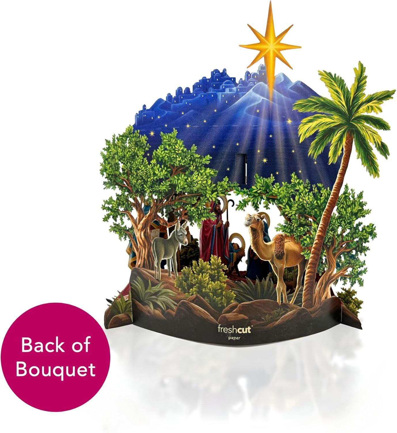 imageFreshcut Paper Light Up Pop Up Card Light Up Holiday Candle with Lights 3D Popup Christmas Cards Holiday Card with Blank Notecard ampamp EnvelopeStarlit Nativity Scene