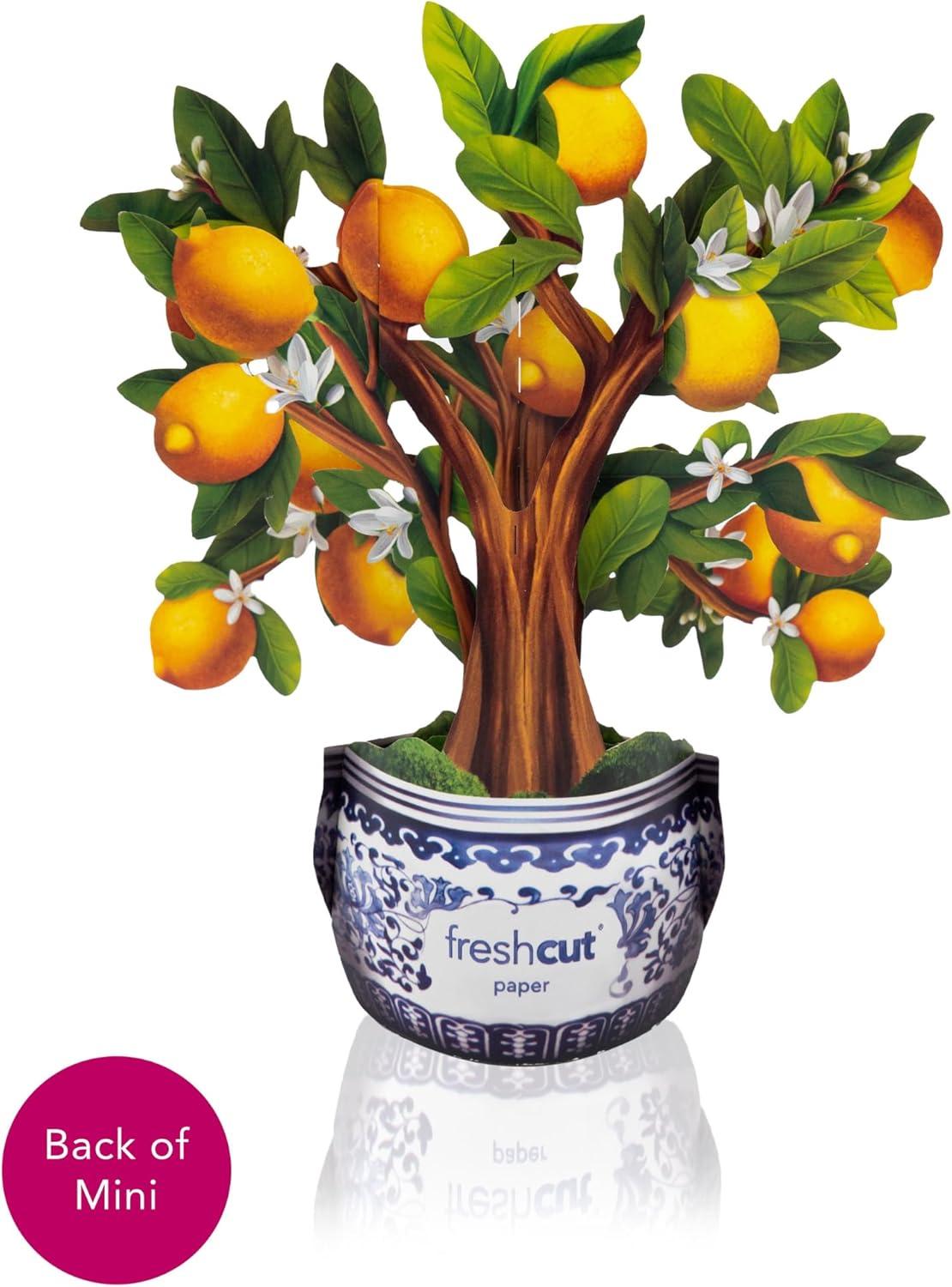 imageFreshcut Paper Pop Up Cards Mini Lemon Blossom Tree 6 Inch Mini Sized Paper House Plants 3D Popup Greeting Card Thank You Cards Get Well Gifts Blank Notecard ampamp EnvelopeLemon Blossom Tree