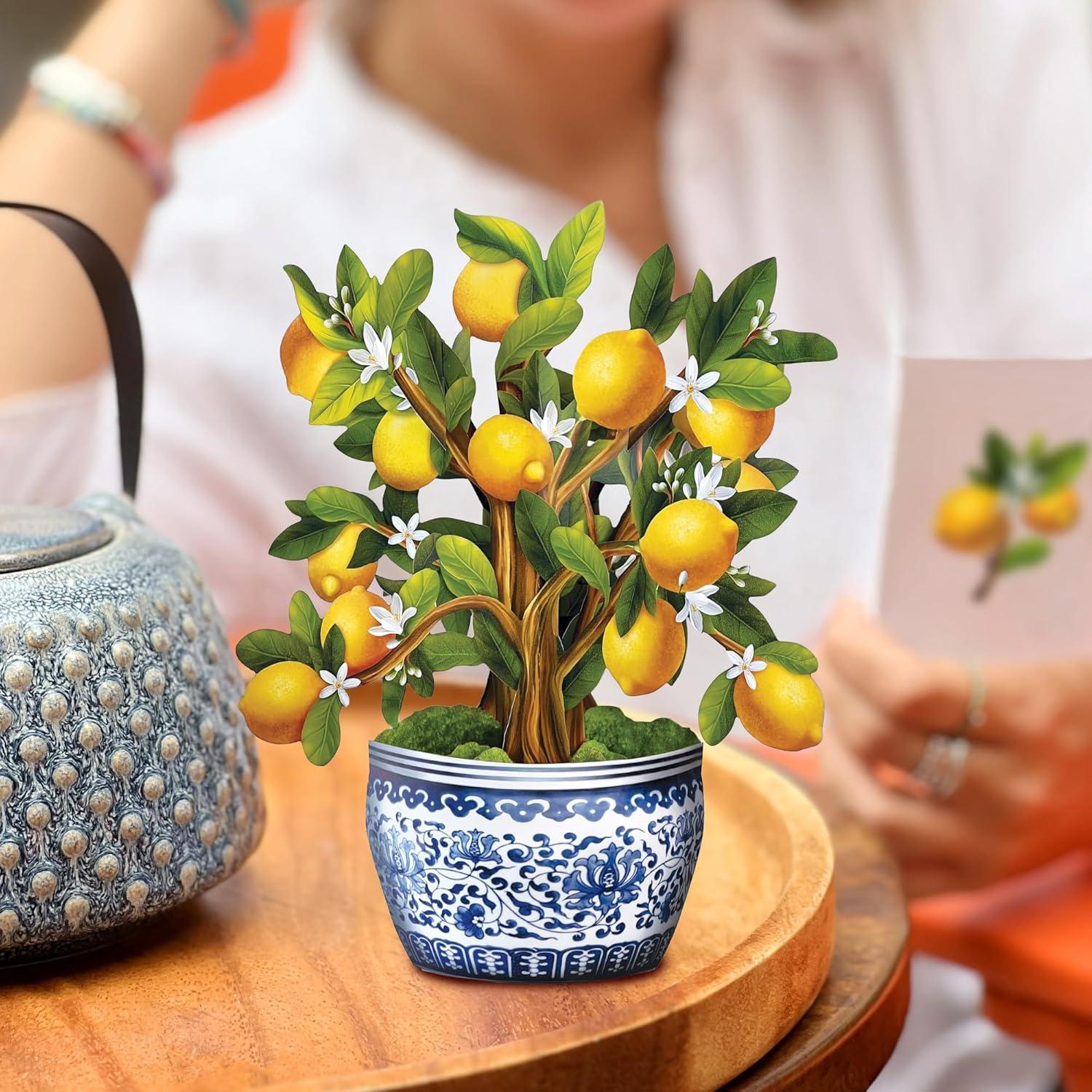 imageFreshcut Paper Pop Up Cards Mini Lemon Blossom Tree 6 Inch Mini Sized Paper House Plants 3D Popup Greeting Card Thank You Cards Get Well Gifts Blank Notecard ampamp EnvelopeLemon Blossom Tree