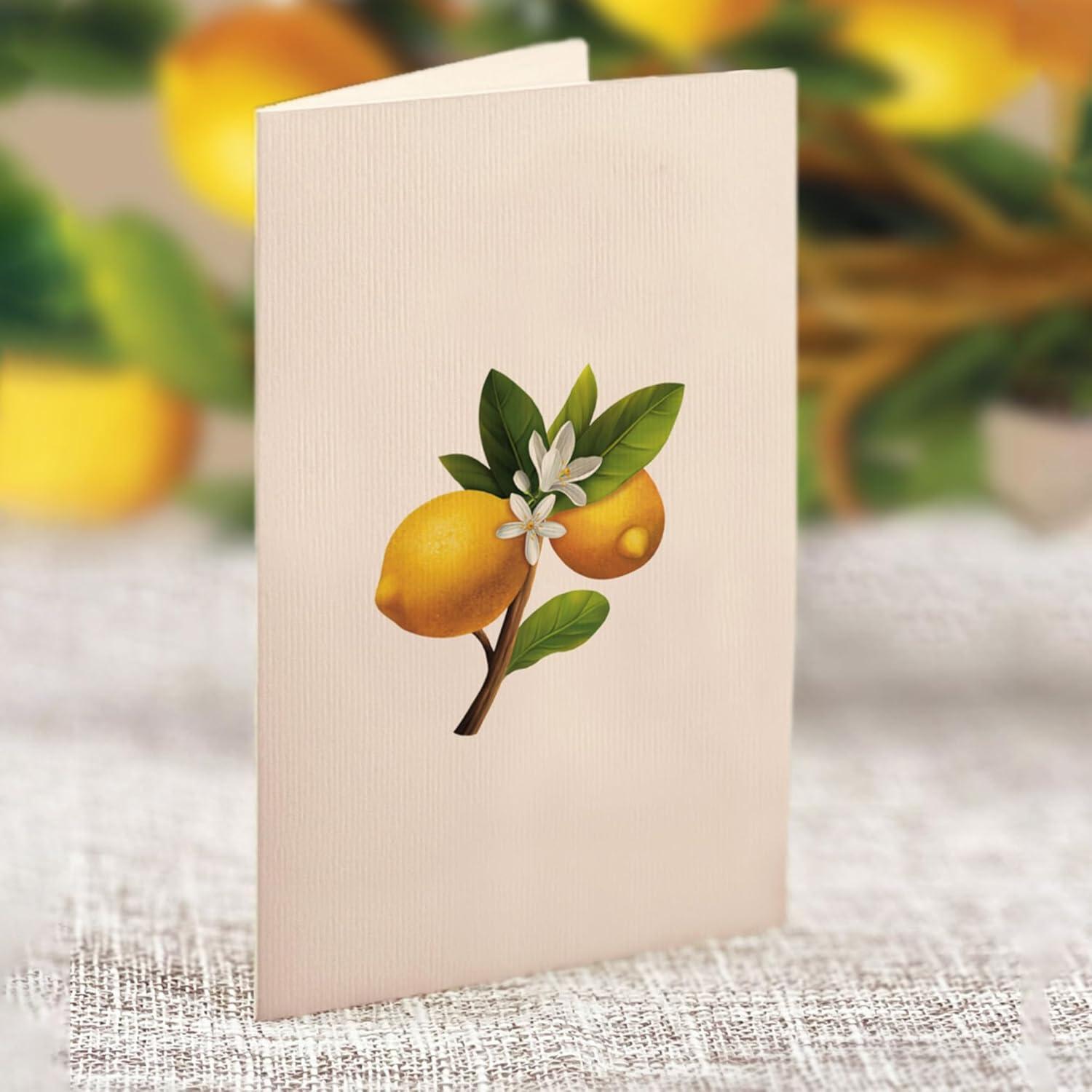 imageFreshcut Paper Pop Up Cards Mini Lemon Blossom Tree 6 Inch Mini Sized Paper House Plants 3D Popup Greeting Card Thank You Cards Get Well Gifts Blank Notecard ampamp EnvelopeLemon Blossom Tree