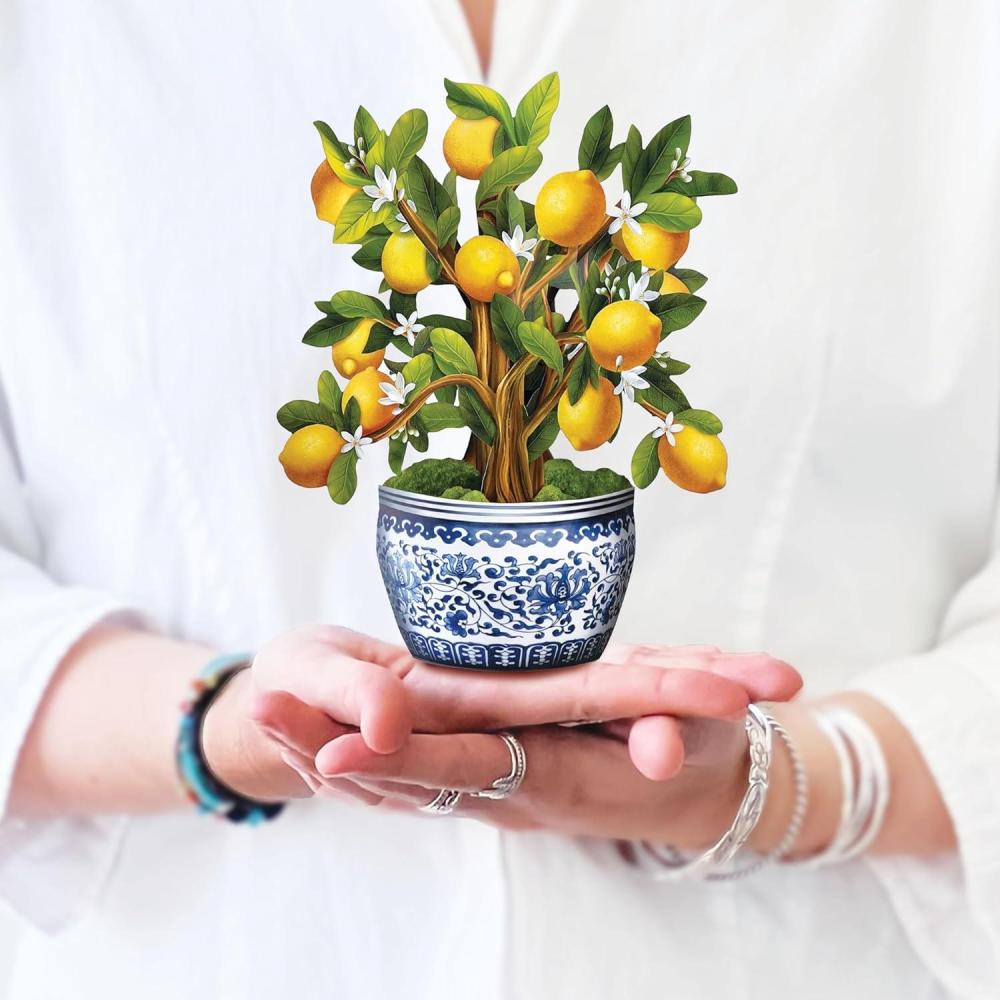 imageFreshcut Paper Pop Up Cards Mini Lemon Blossom Tree 6 Inch Mini Sized Paper House Plants 3D Popup Greeting Card Thank You Cards Get Well Gifts Blank Notecard ampamp EnvelopeLemon Blossom Tree