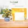 Freshcut Paper Pop Up Cards, Mini Lemon Blossom Tree, 6 Inch Mini Sized Paper House Plants 3D Popup Greeting Card, Thank You Cards, Get Well Gifts, Blank Notecard & Envelope(Lemon Blossom Tree)
