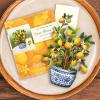 Freshcut Paper Pop Up Cards, Mini Lemon Blossom Tree, 6 Inch Mini Sized Paper House Plants 3D Popup Greeting Card, Thank You Cards, Get Well Gifts, Blank Notecard & Envelope(Lemon Blossom Tree)